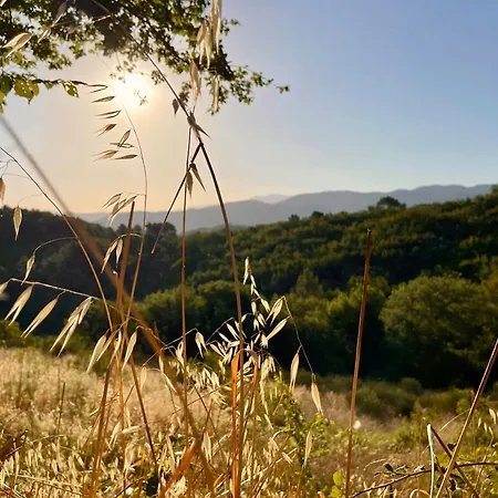 Immersa Nella Serenita Rubbiano (Perugia)