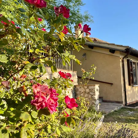 Immersa Nella Serenita