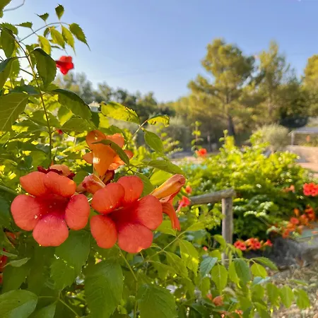 Appartement Immersa Nella Serenita