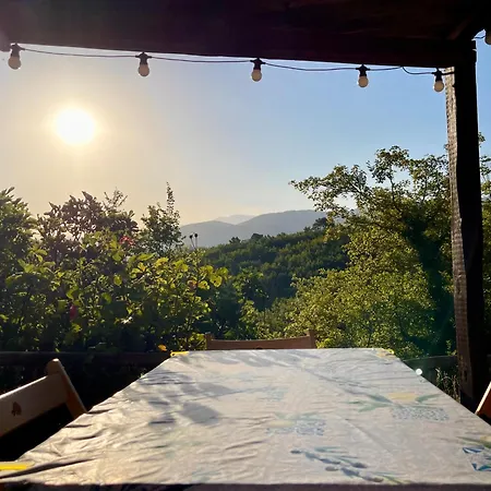 Immersa Nella Serenita *