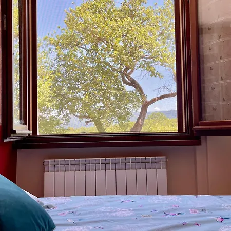 Immersa Nella Serenita Appartement *